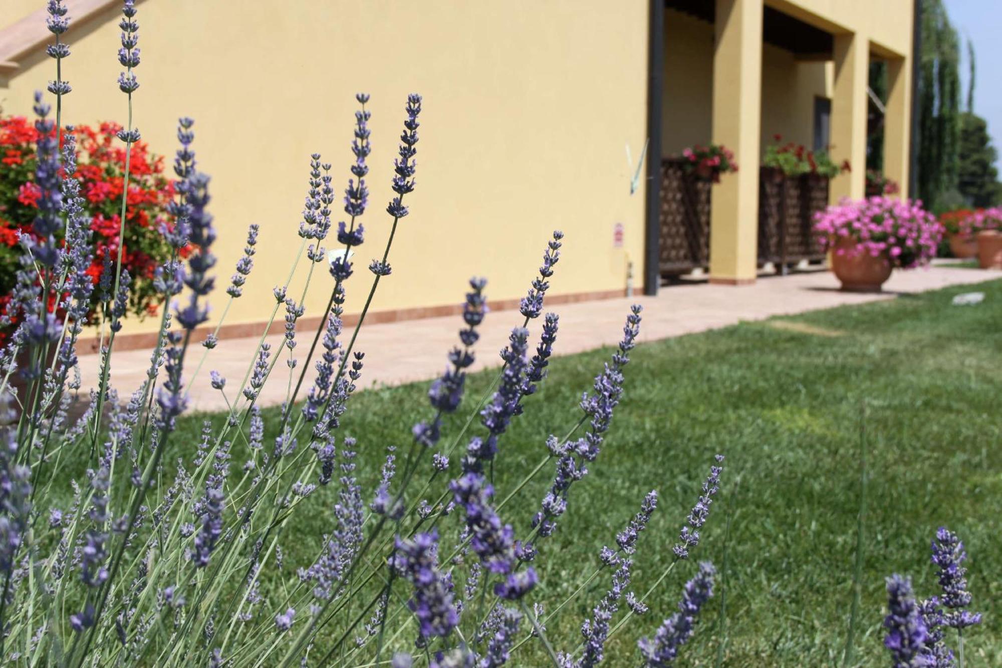 Podere Tre Cipressi Aparthotel Campiglia Marittima Kültér fotó