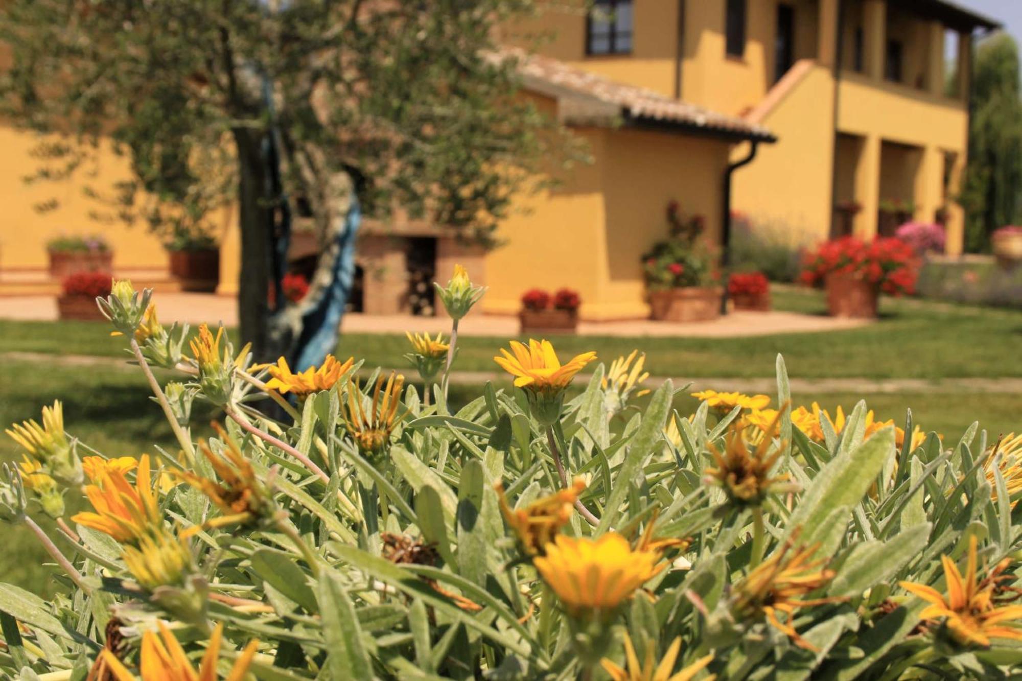 Podere Tre Cipressi Aparthotel Campiglia Marittima Kültér fotó